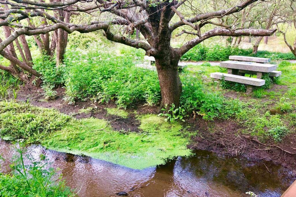 フィニステレJunto Camino De Santiago,1ª Linea De Playaアパートメント エクステリア 写真