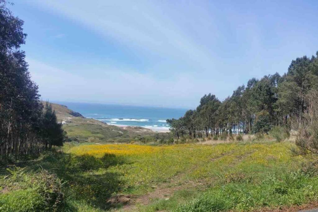 フィニステレJunto Camino De Santiago,1ª Linea De Playaアパートメント エクステリア 写真